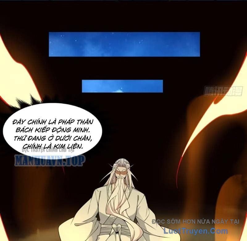 Đồ Đệ Của Ta Đều Là Đại Phản Phái Chapter 439 - Trang 2