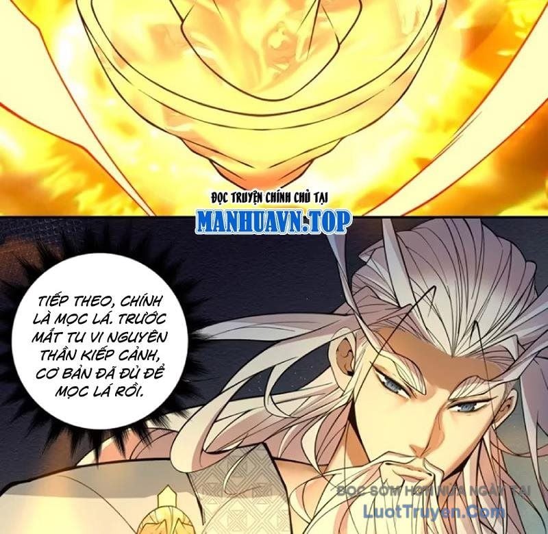 Đồ Đệ Của Ta Đều Là Đại Phản Phái Chapter 439 - Trang 2