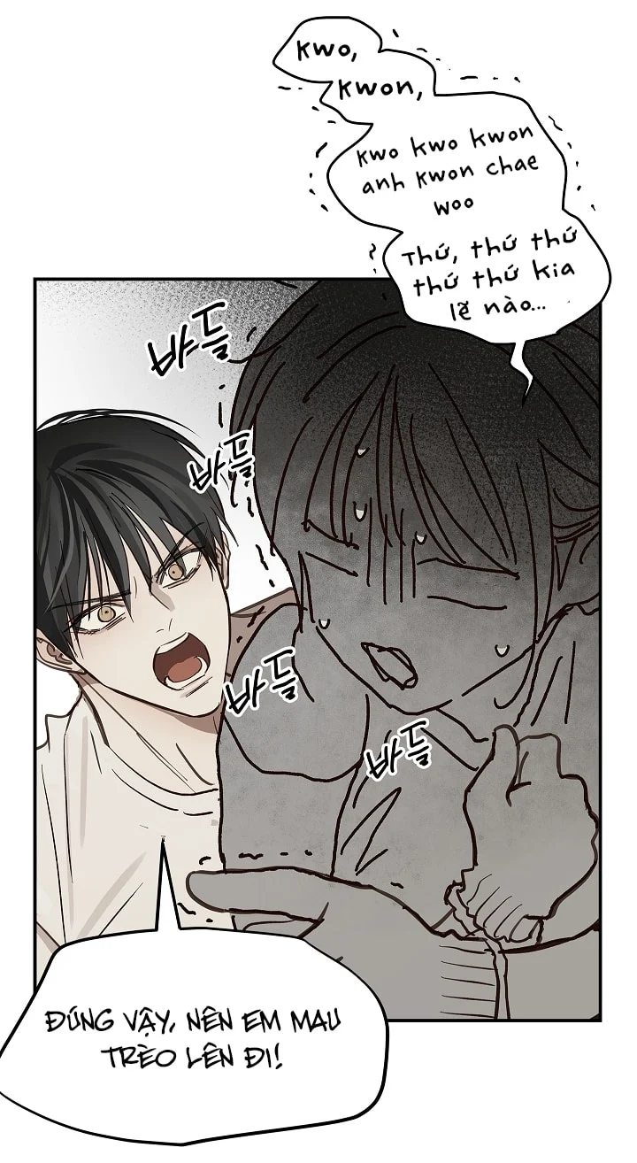 Đóa Hoa Là Mồi Nhử Chapter 26 - Trang 2