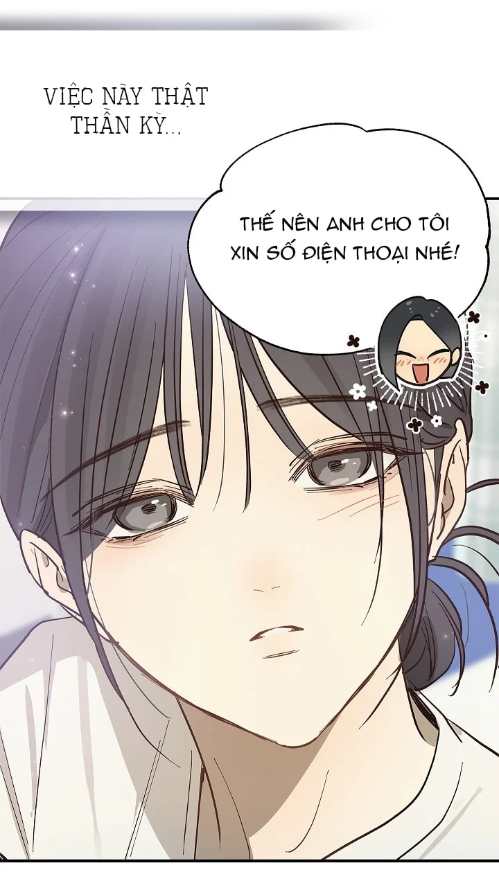 Đóa Hoa Là Mồi Nhử Chapter 28 - Trang 2