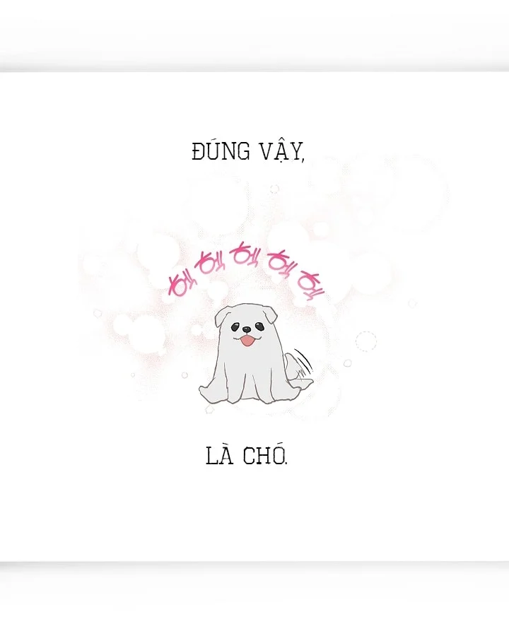 Đóa Hoa Là Mồi Nhử Chapter 29 - Trang 2
