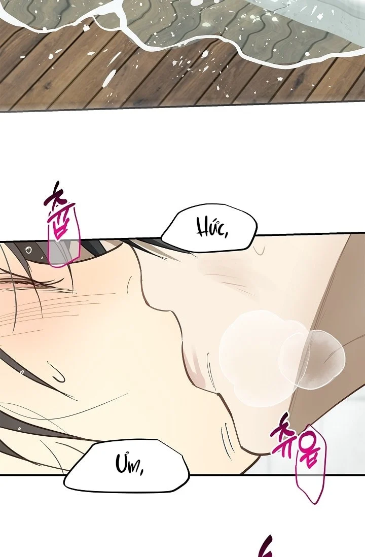 Đóa Hoa Là Mồi Nhử Chapter 30 - Next 