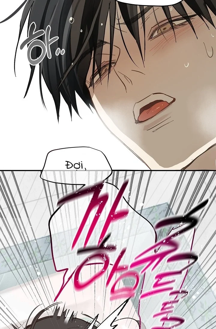Đóa Hoa Là Mồi Nhử Chapter 30 - Next 