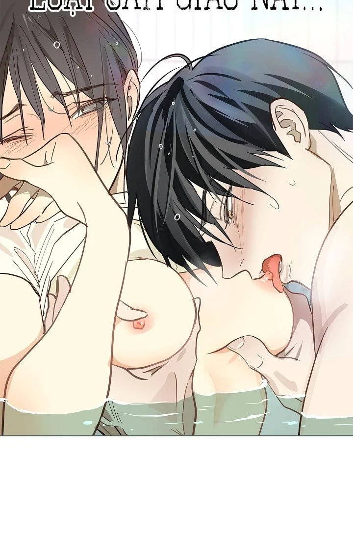 Đóa Hoa Là Mồi Nhử Chapter 30 - Next 