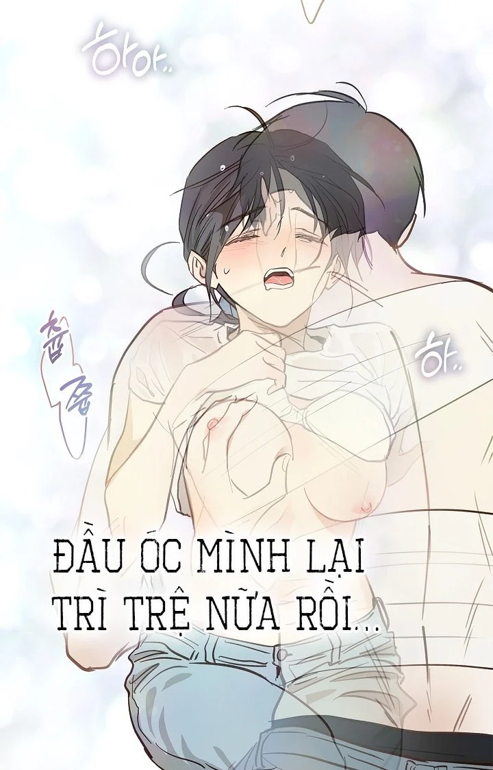 Đóa Hoa Là Mồi Nhử Chapter 30 - Next 