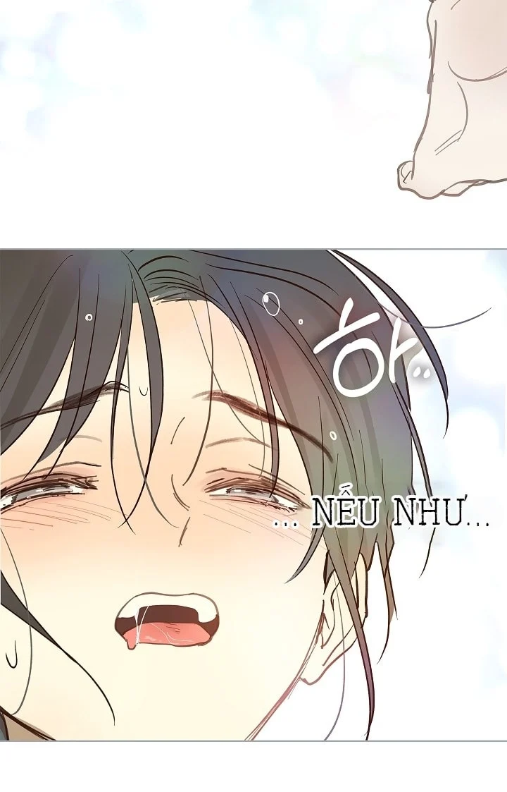 Đóa Hoa Là Mồi Nhử Chapter 30 - Next 