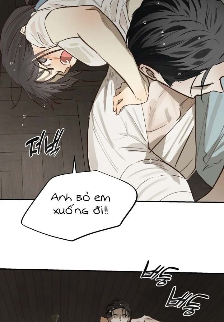 Đóa Hoa Là Mồi Nhử Chapter 31 - Next 