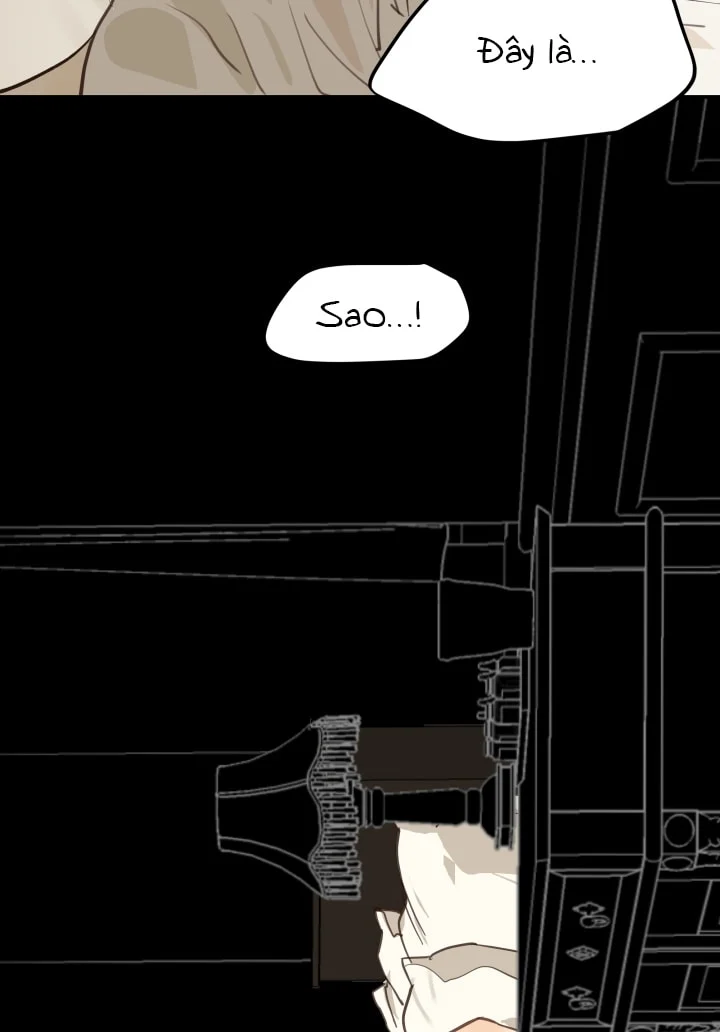 Đóa Hoa Là Mồi Nhử Chapter 31 - Next 