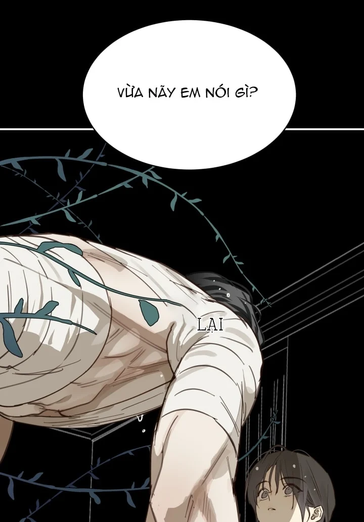 Đóa Hoa Là Mồi Nhử Chapter 31 - Next 