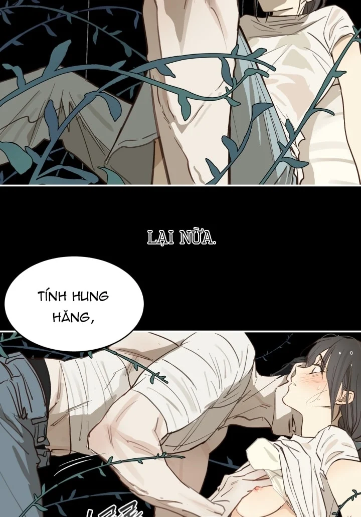 Đóa Hoa Là Mồi Nhử Chapter 31 - Next 