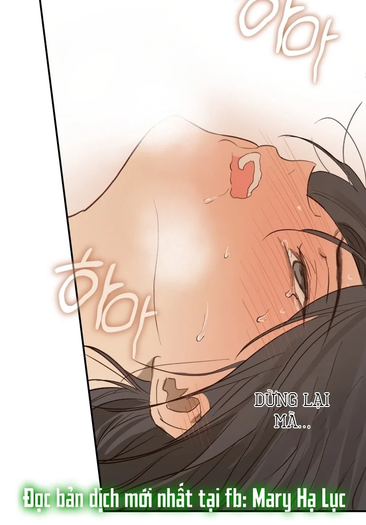 Đóa Hoa Là Mồi Nhử Chapter 31 - Next 