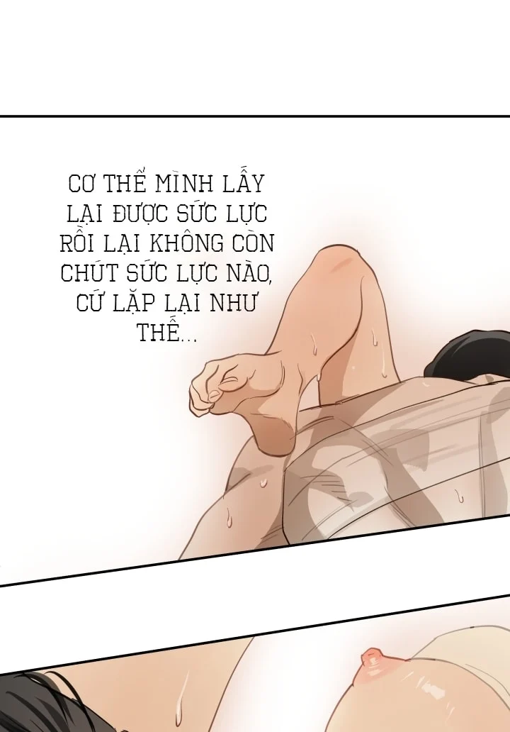 Đóa Hoa Là Mồi Nhử Chapter 31 - Next 