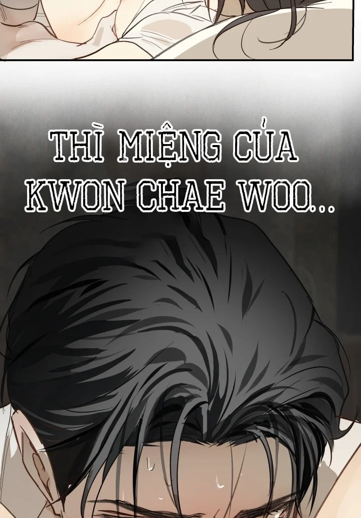 Đóa Hoa Là Mồi Nhử Chapter 31 - Next 