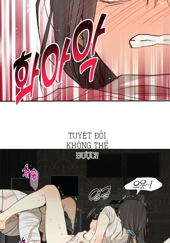 Đóa Hoa Là Mồi Nhử Chapter 31 - Next 
