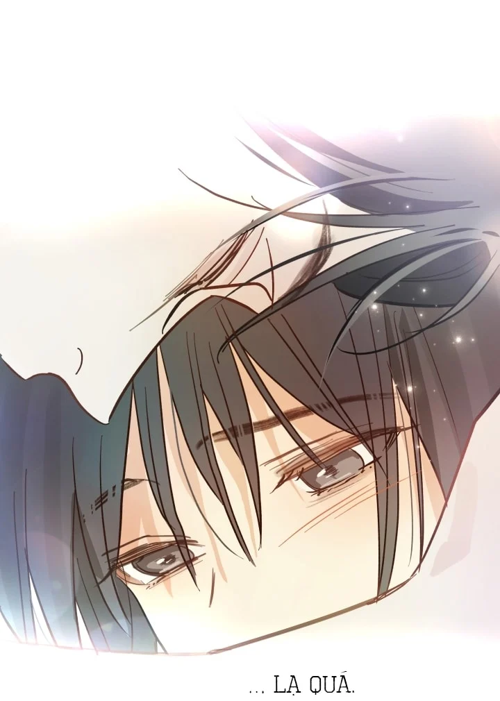 Đóa Hoa Là Mồi Nhử Chapter 31 - Next 
