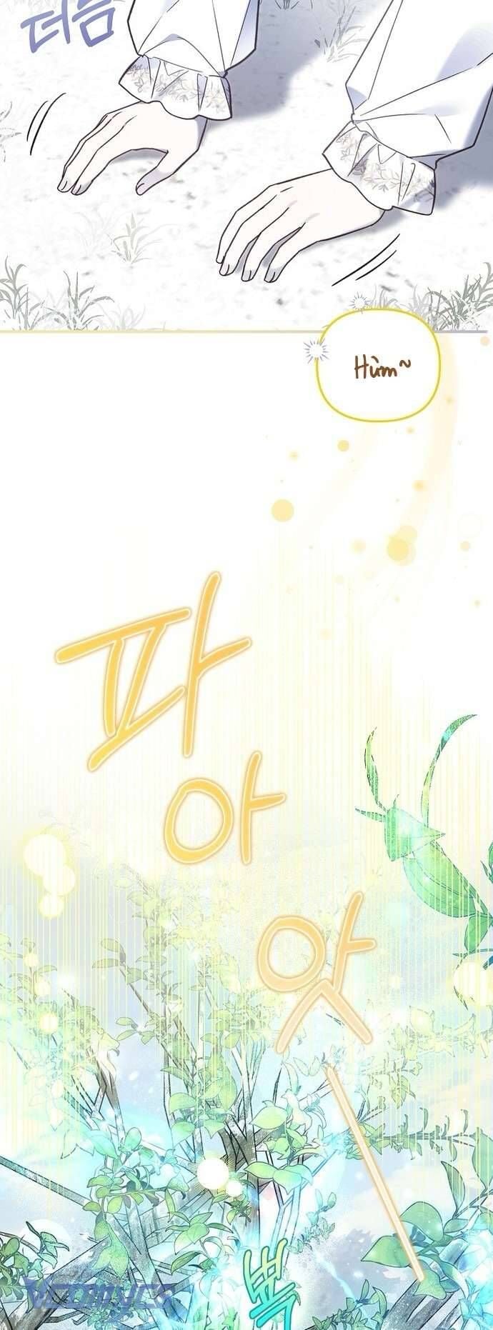 Độc Chiếm Sủng Ái Của Công Chúa Út, Mọi Người Đều Say Mê Tôi. Chapter 16 19