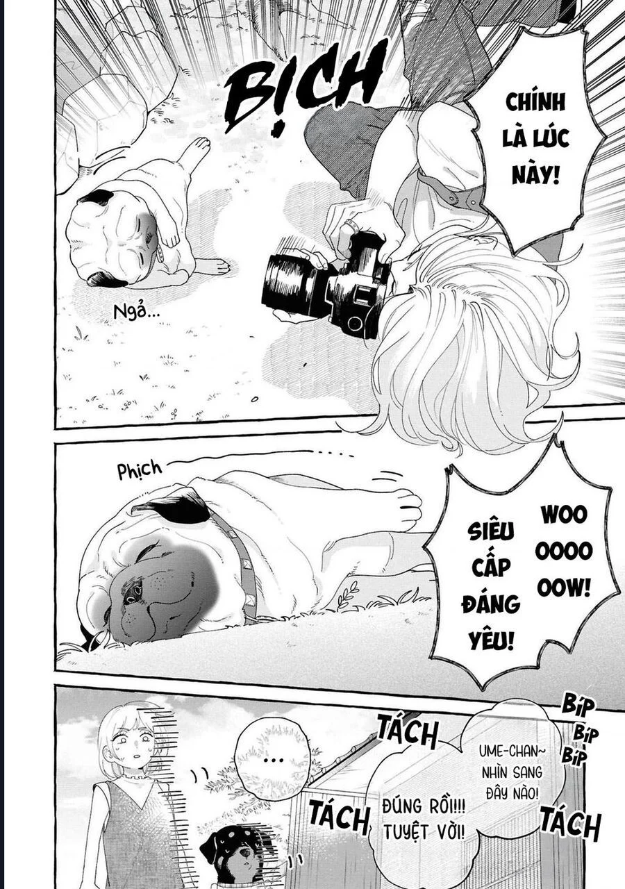 Đôi Ta Hoàn Toàn Trái Ngược Chapter 32 - Next Chapter 33