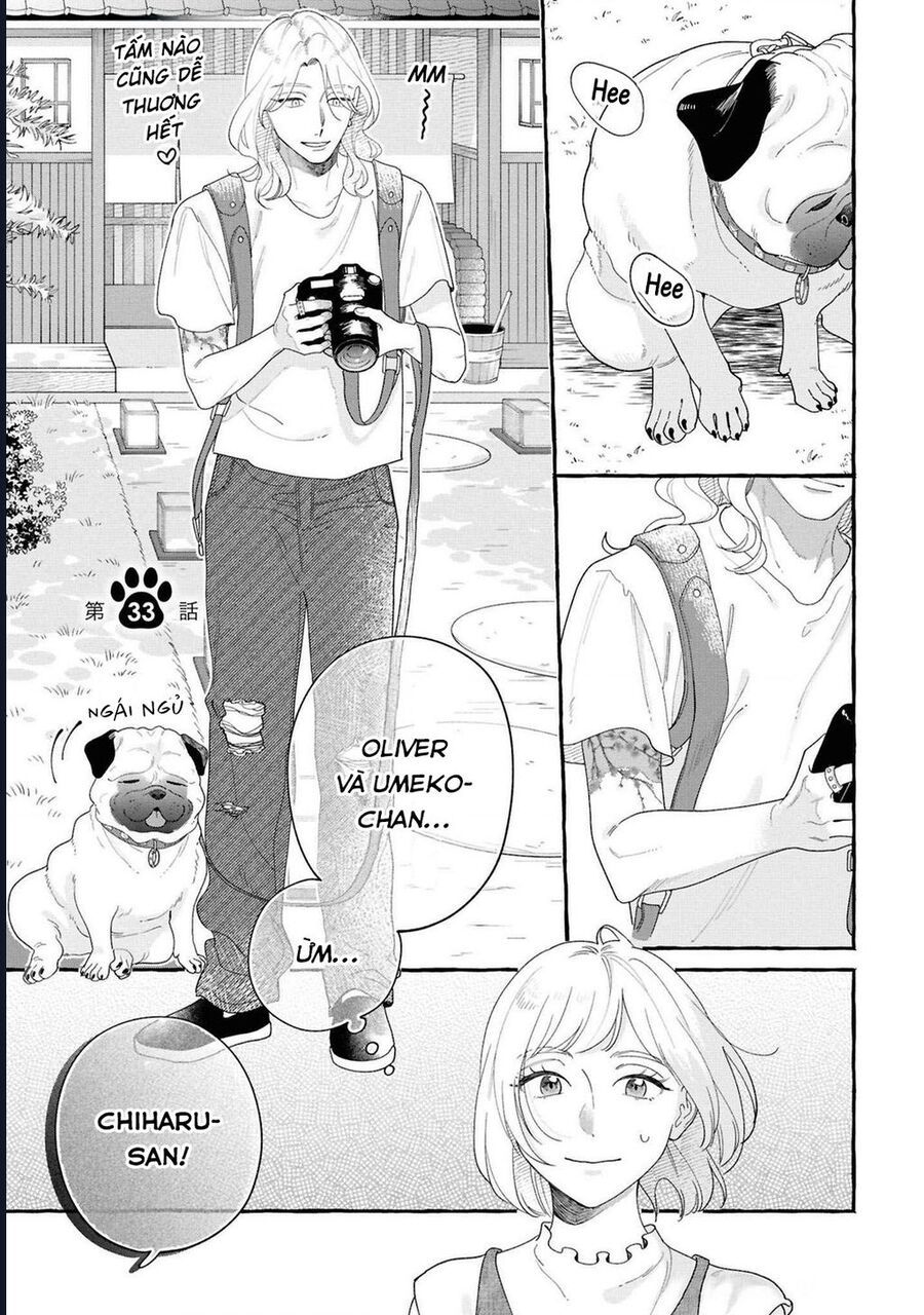 Đôi Ta Hoàn Toàn Trái Ngược Chapter 33 - Next 