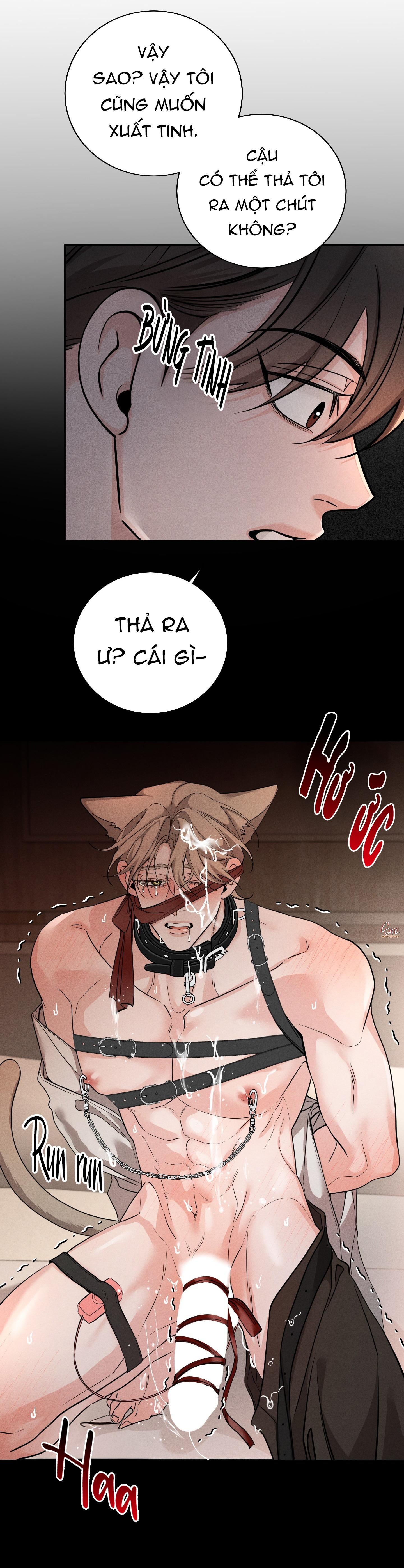 ĐỔI VỊ TRÍ RỒI SAO Chapter 14 - Next 
