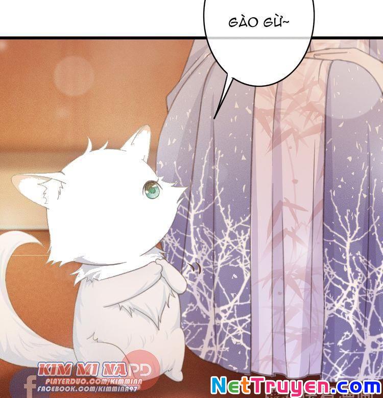 Đông Cung Giai Hạ Tù Chapter 49 8