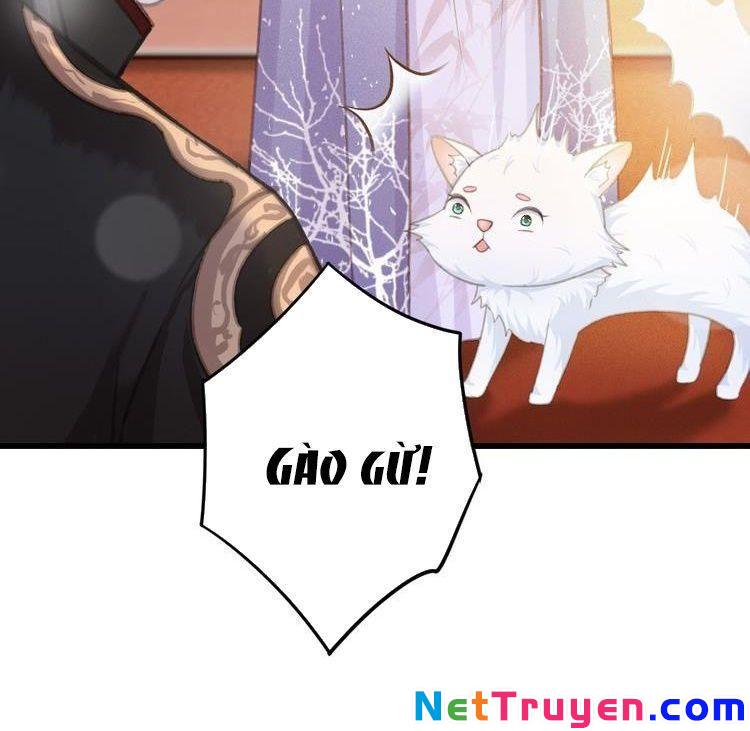 Đông Cung Giai Hạ Tù Chapter 49 19