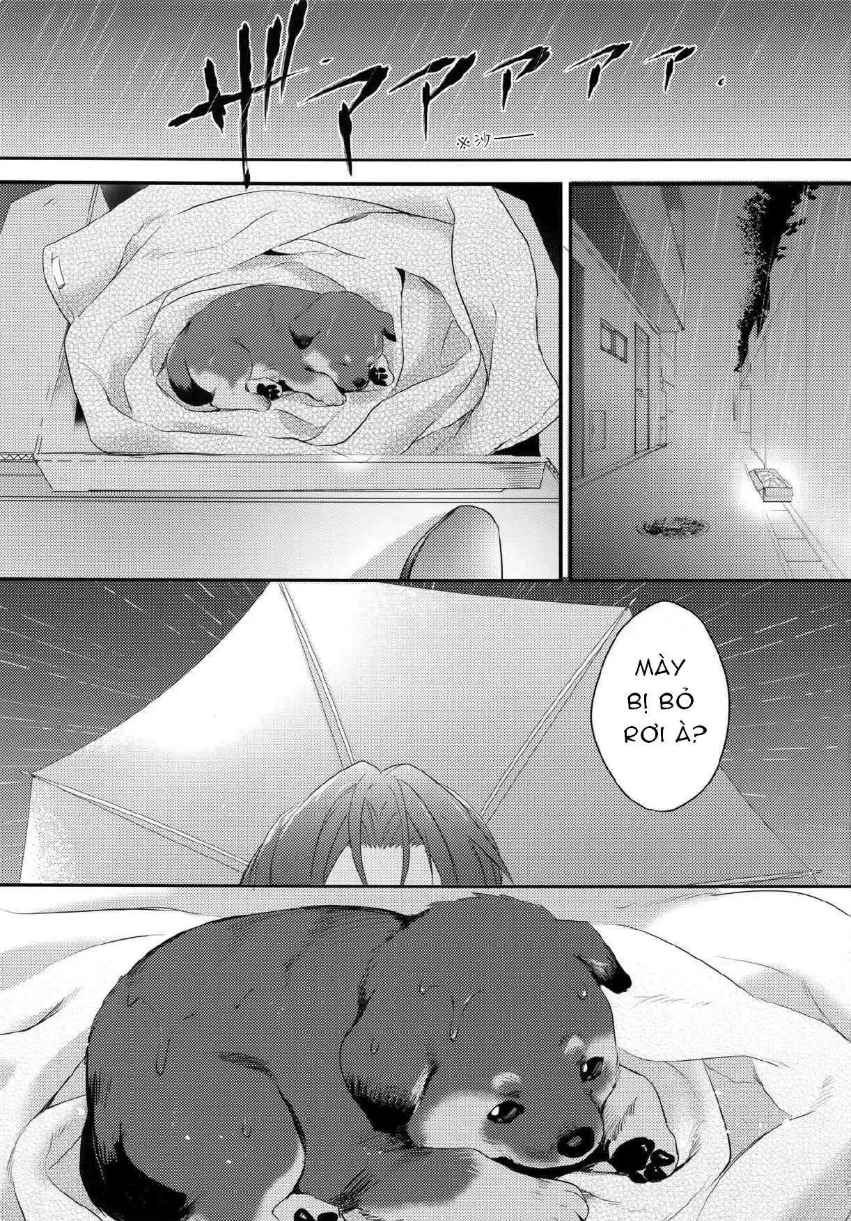 Doujinshi Tổng Hợp Chapter 303 - Trang 4