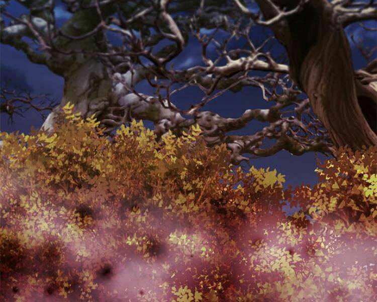 Druid Tại Ga Seoul – Người Hóa Thú Chap 27 - Trang 2