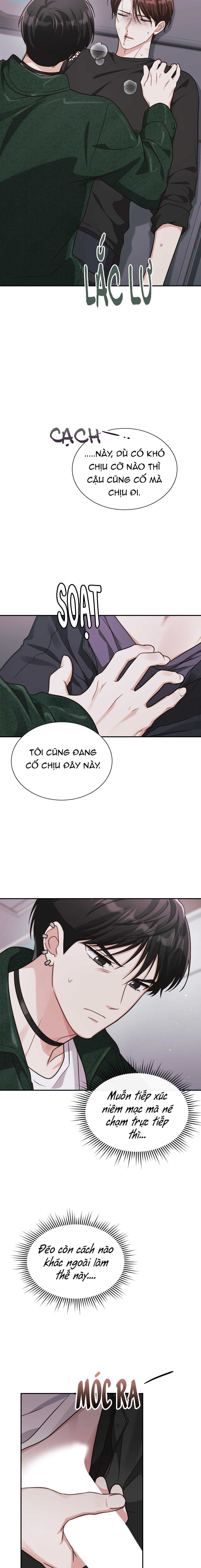 Dù Không Phải Guide Định Mệnh Của Cậu Chapter 12 - Next 