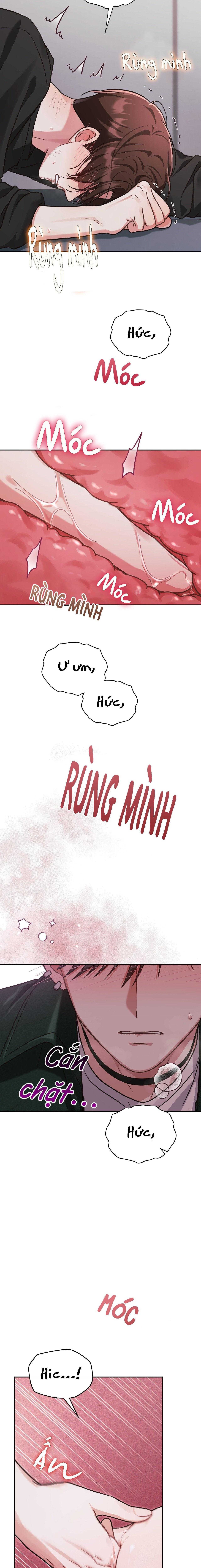 Dù Không Phải Guide Định Mệnh Của Cậu Chapter 12 - Next 