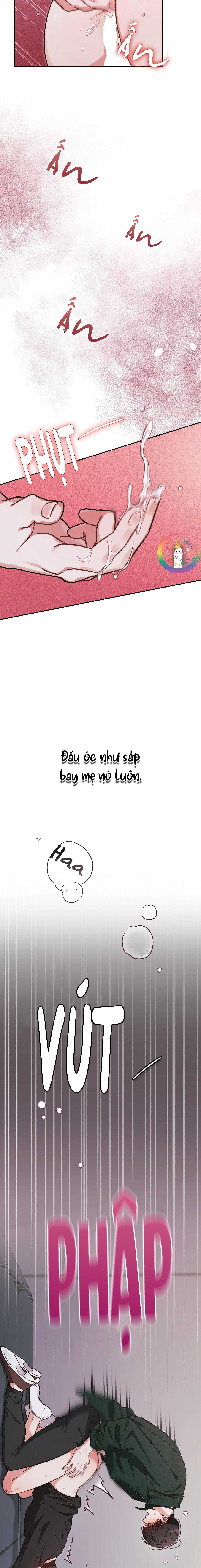 Dù Không Phải Guide Định Mệnh Của Cậu Chapter 12 - Next 
