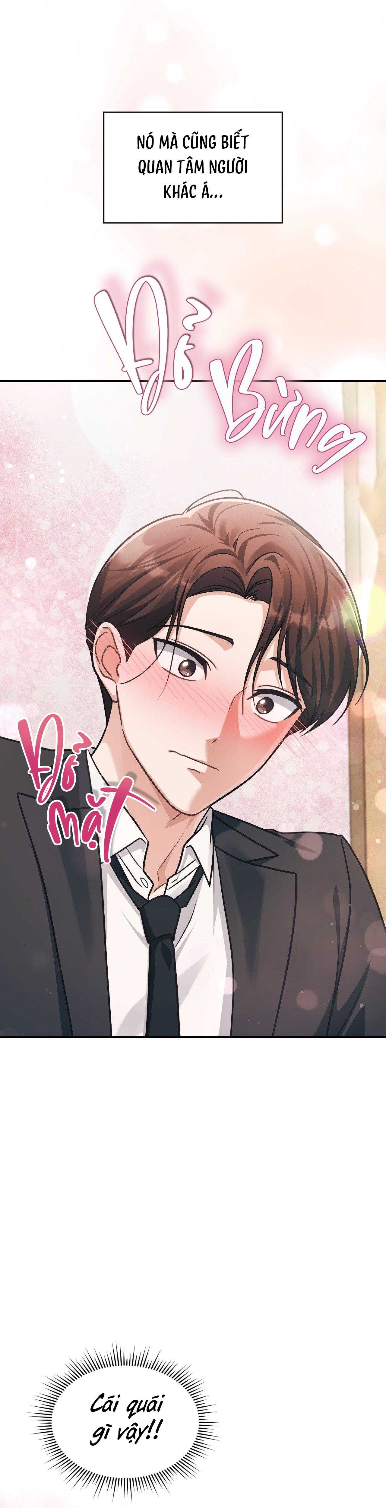 Dù Không Phải Guide Định Mệnh Của Cậu Chapter 16 - Trang 3