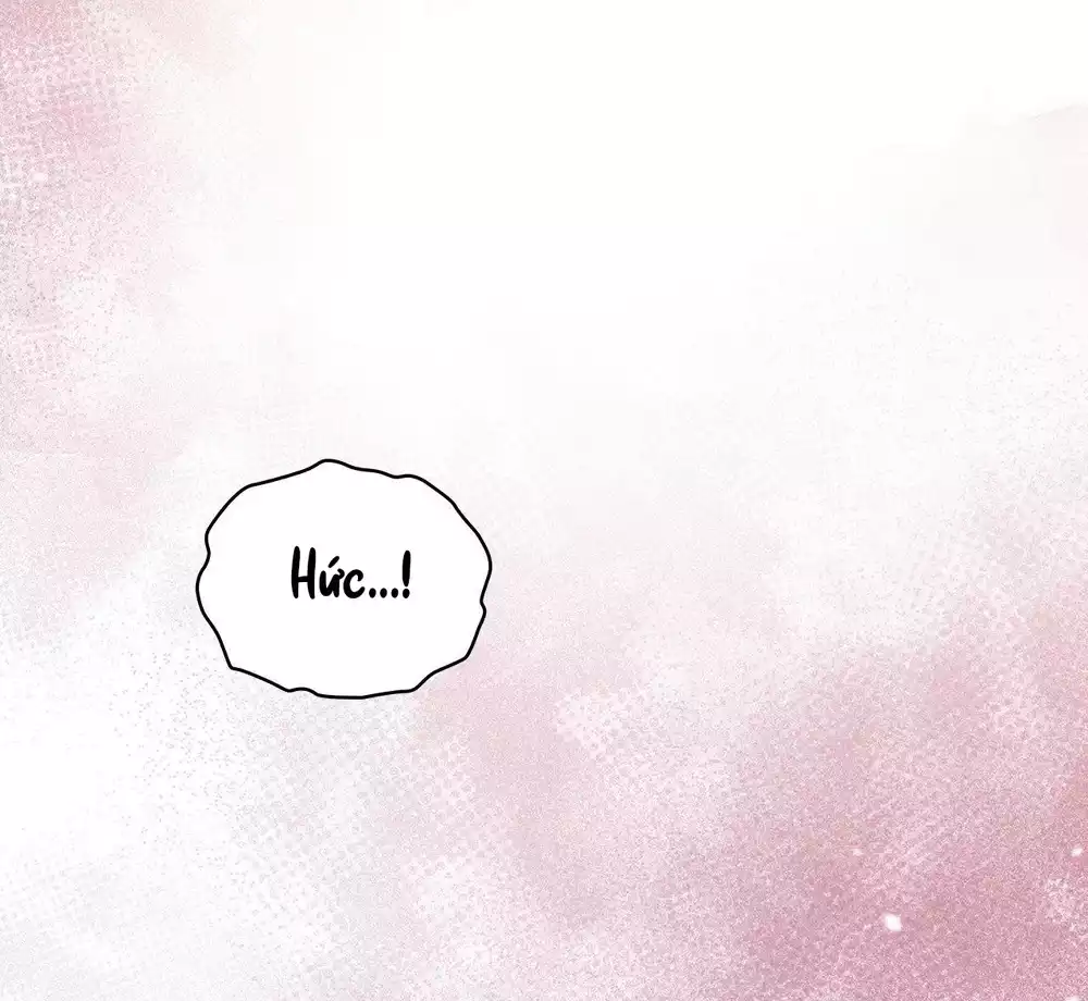 Dù Không Phải Guide Định Mệnh Của Cậu Chapter 27 Nó choáy 🔥 - Trang 3