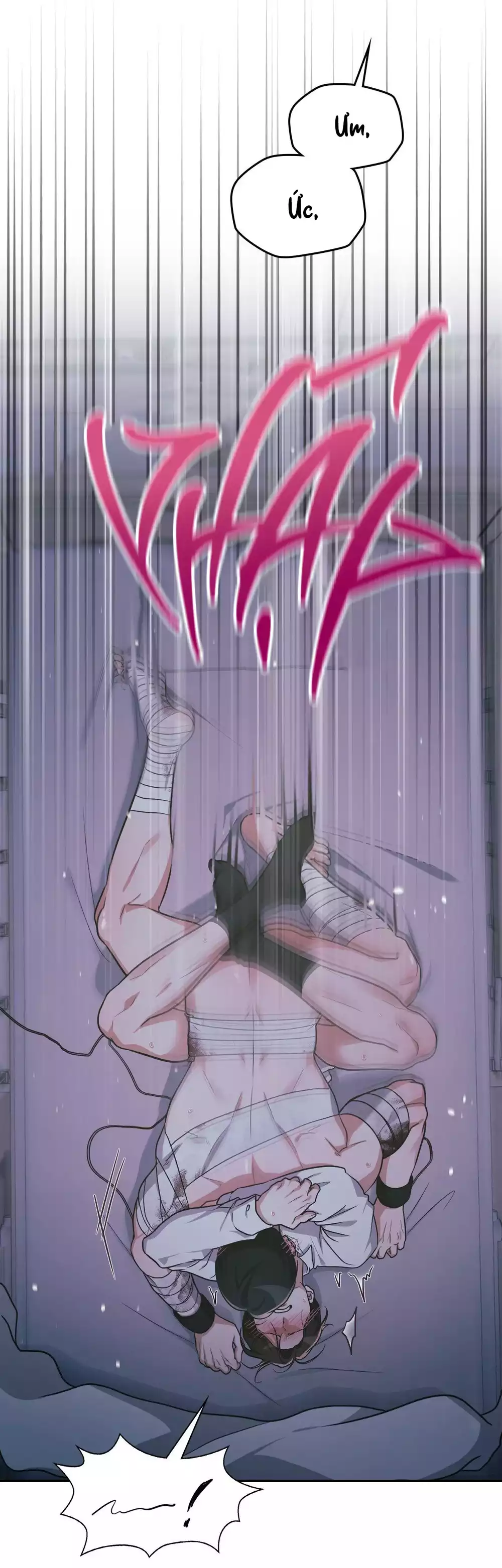 Dù Không Phải Guide Định Mệnh Của Cậu Chapter 28 - Trang 2