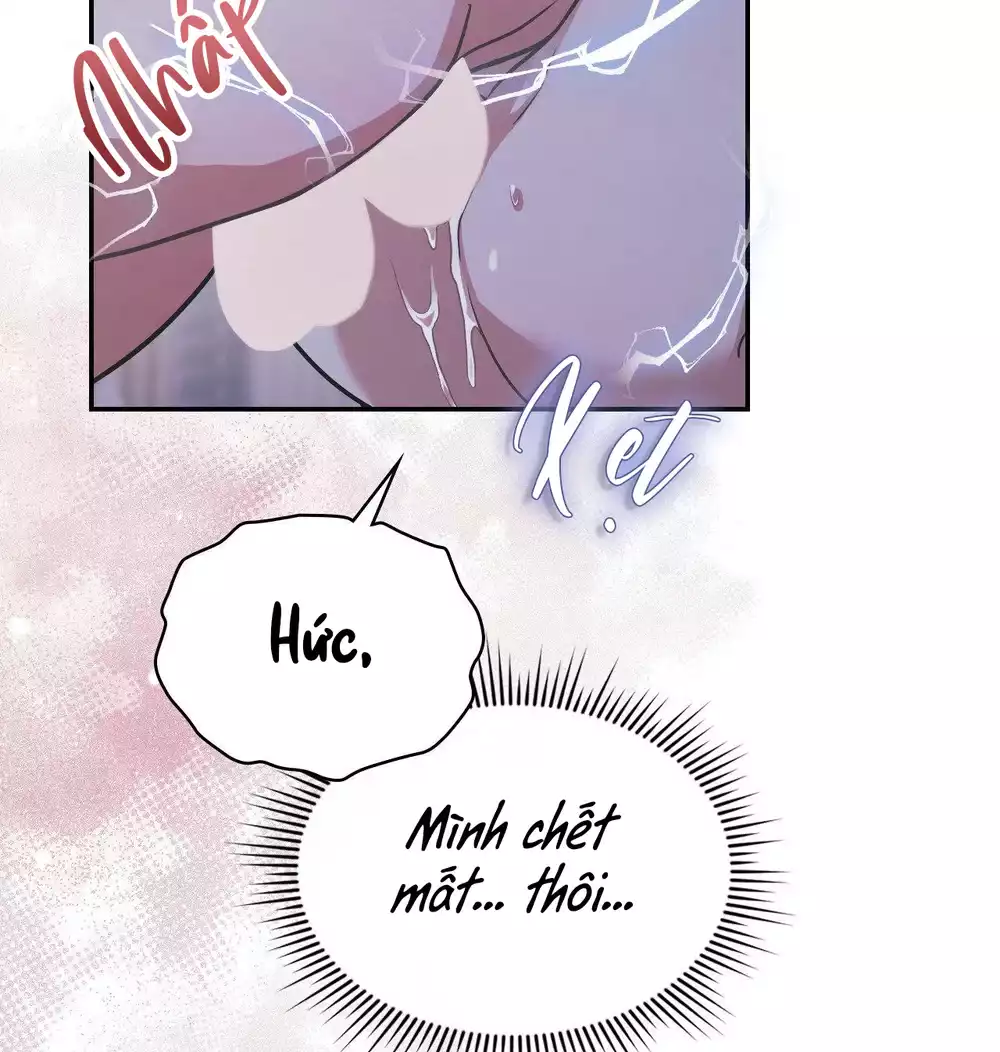 Dù Không Phải Guide Định Mệnh Của Cậu Chapter 28 - Trang 2