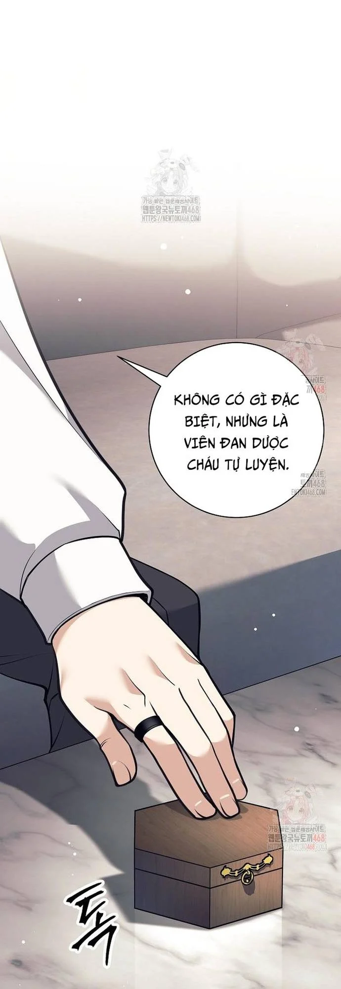 Đứa Con Ngoài Giá Thú Có Khả Năng Hấp Thụ Vũ Khí Chapter 35 - Trang 2
