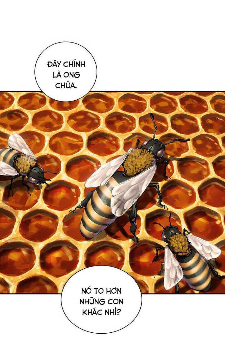 Đứa Con Thần Chết Chapter 141 - Next Chapter 142