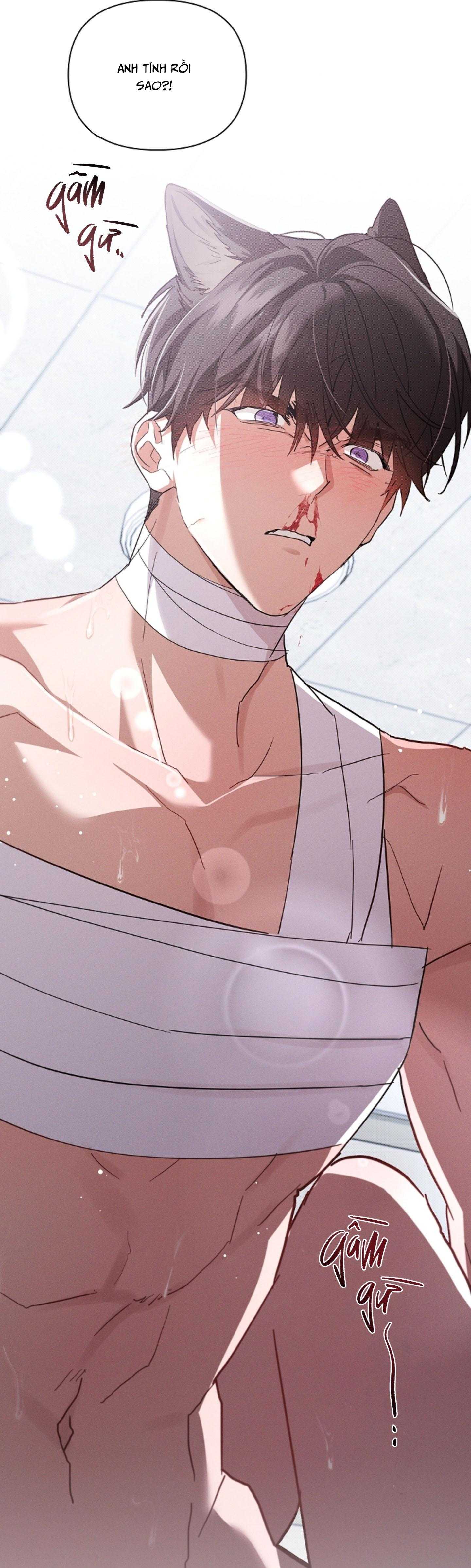 ĐỪNG CHẠM VÀO CÚN CON CỦA TÔI Chapter 42 H++++++++++++++ - Next 