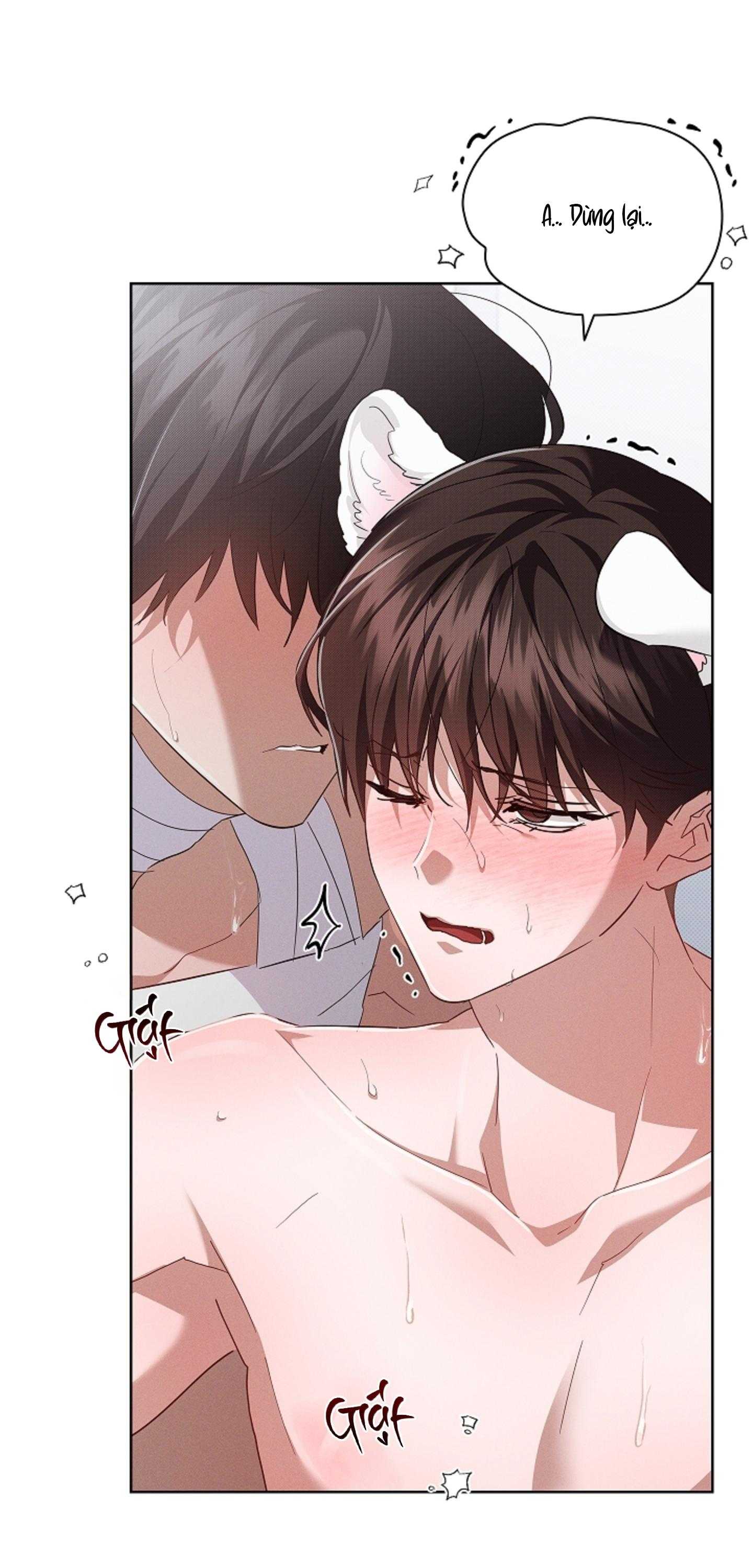 ĐỪNG CHẠM VÀO CÚN CON CỦA TÔI Chapter 42 H++++++++++++++ - Next 