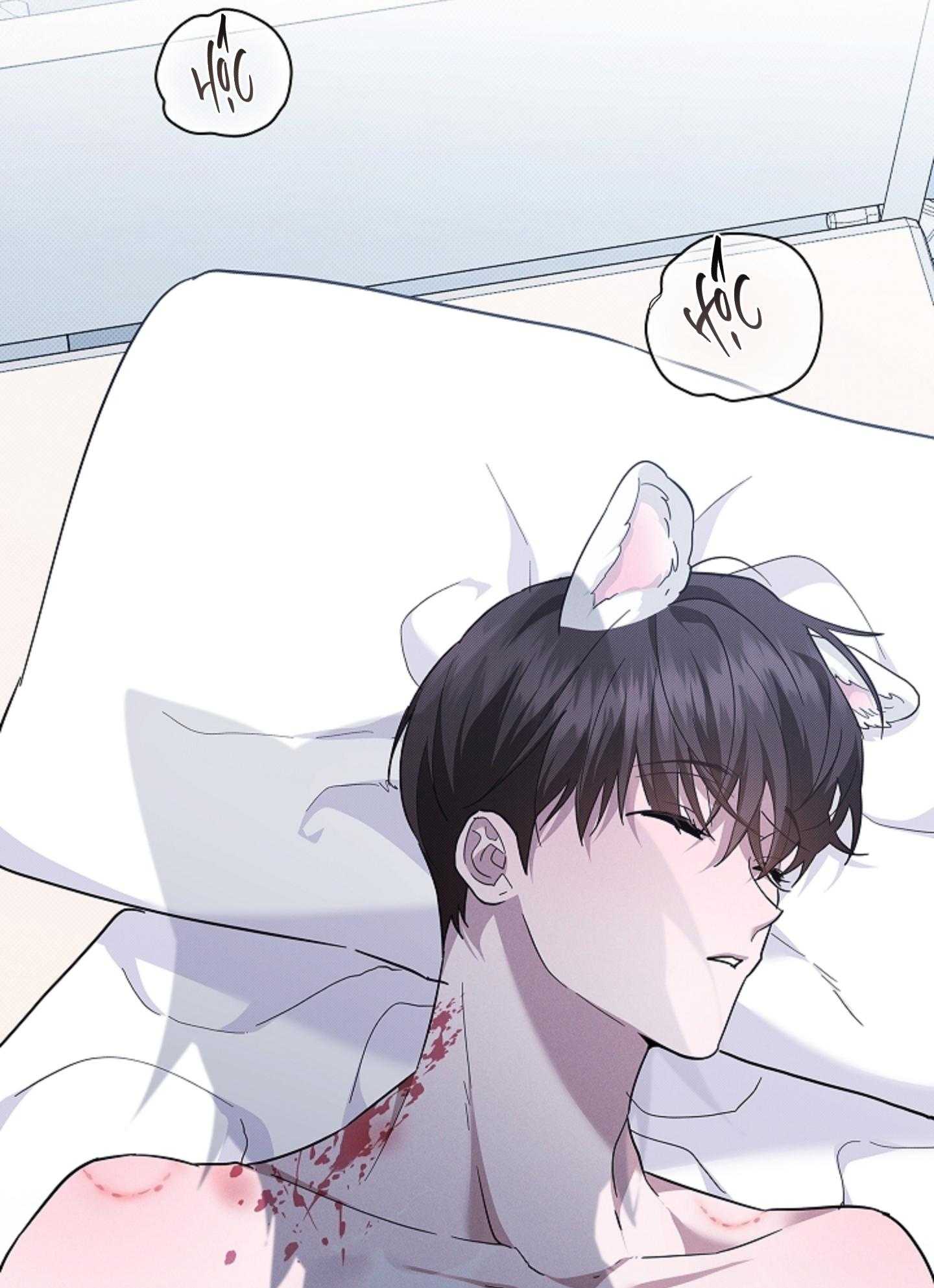 ĐỪNG CHẠM VÀO CÚN CON CỦA TÔI Chapter 42 H++++++++++++++ - Next 