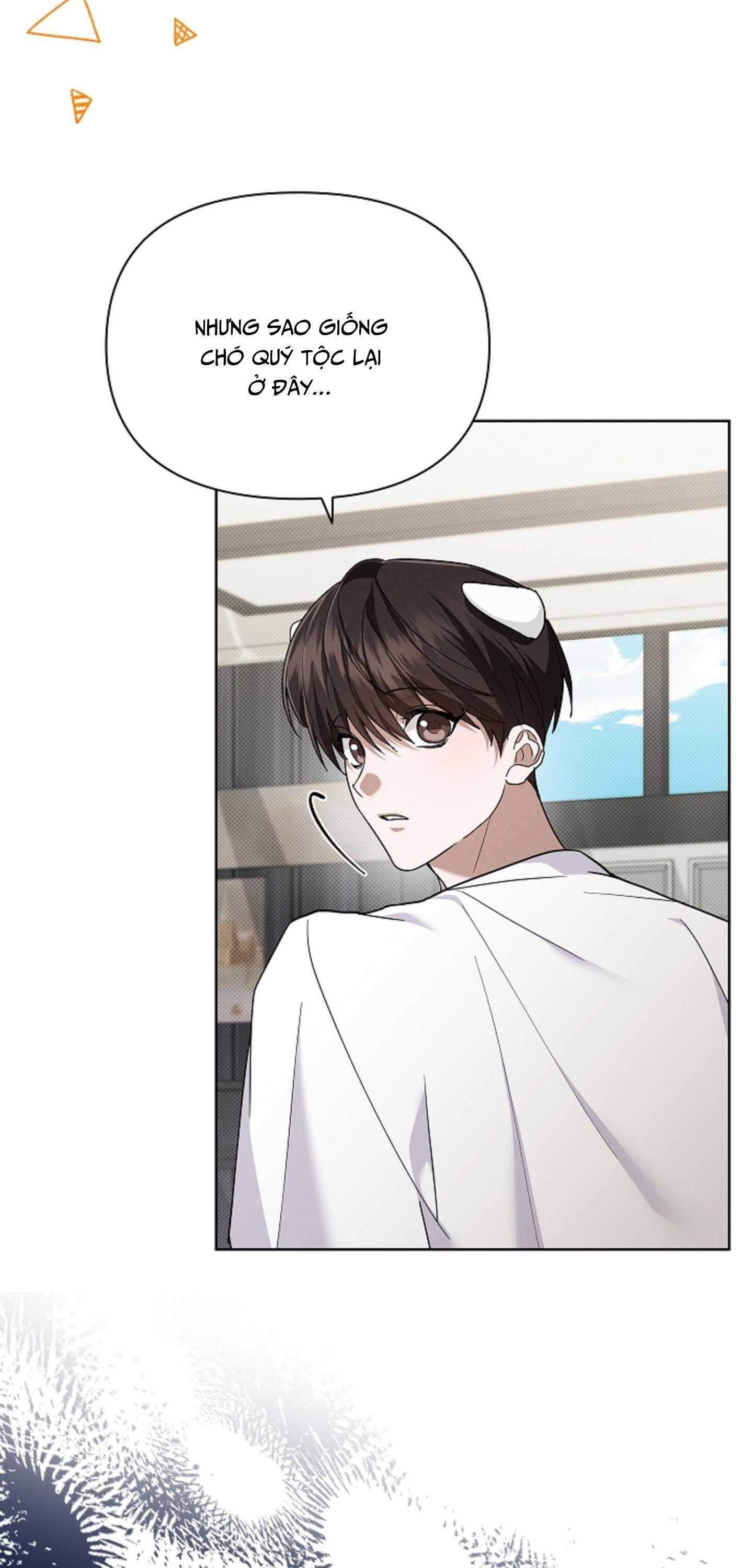 ĐỪNG CHẠM VÀO CÚN CON CỦA TÔI Chapter 50 NT6 - Trang 3