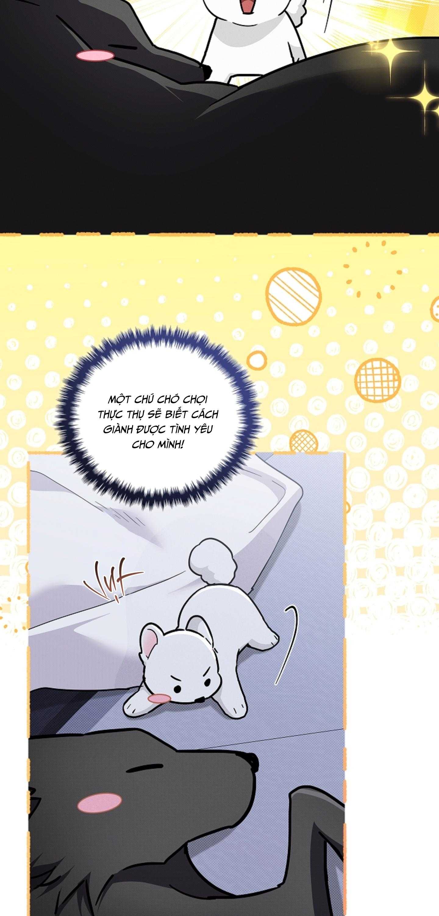 ĐỪNG CHẠM VÀO CÚN CON CỦA TÔI Chapter 51 NT 7 - Trang 3