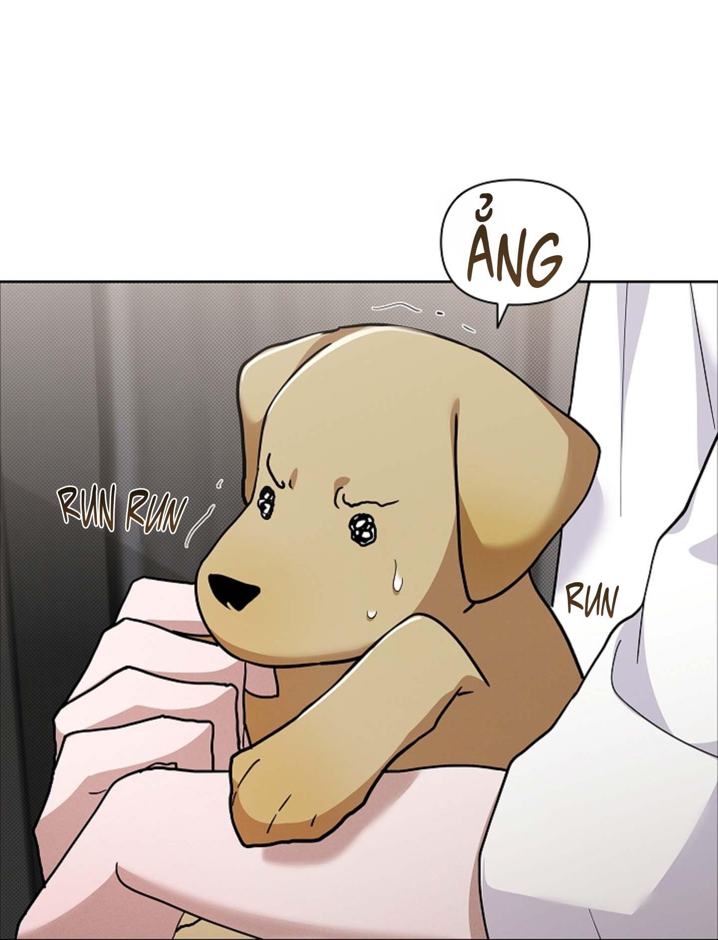 ĐỪNG ĐỘNG VÀO CÚN CON! Chapter 44.06 - Trang 2
