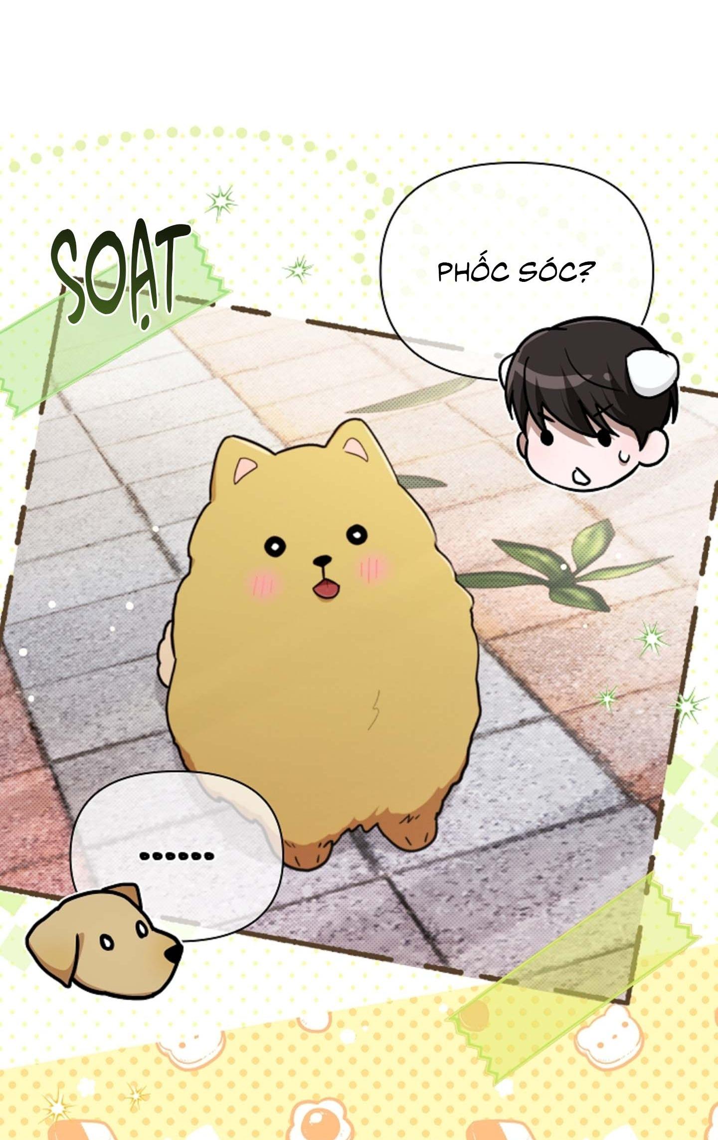 ĐỪNG ĐỘNG VÀO CÚN CON! Chapter 44.06 - Trang 2