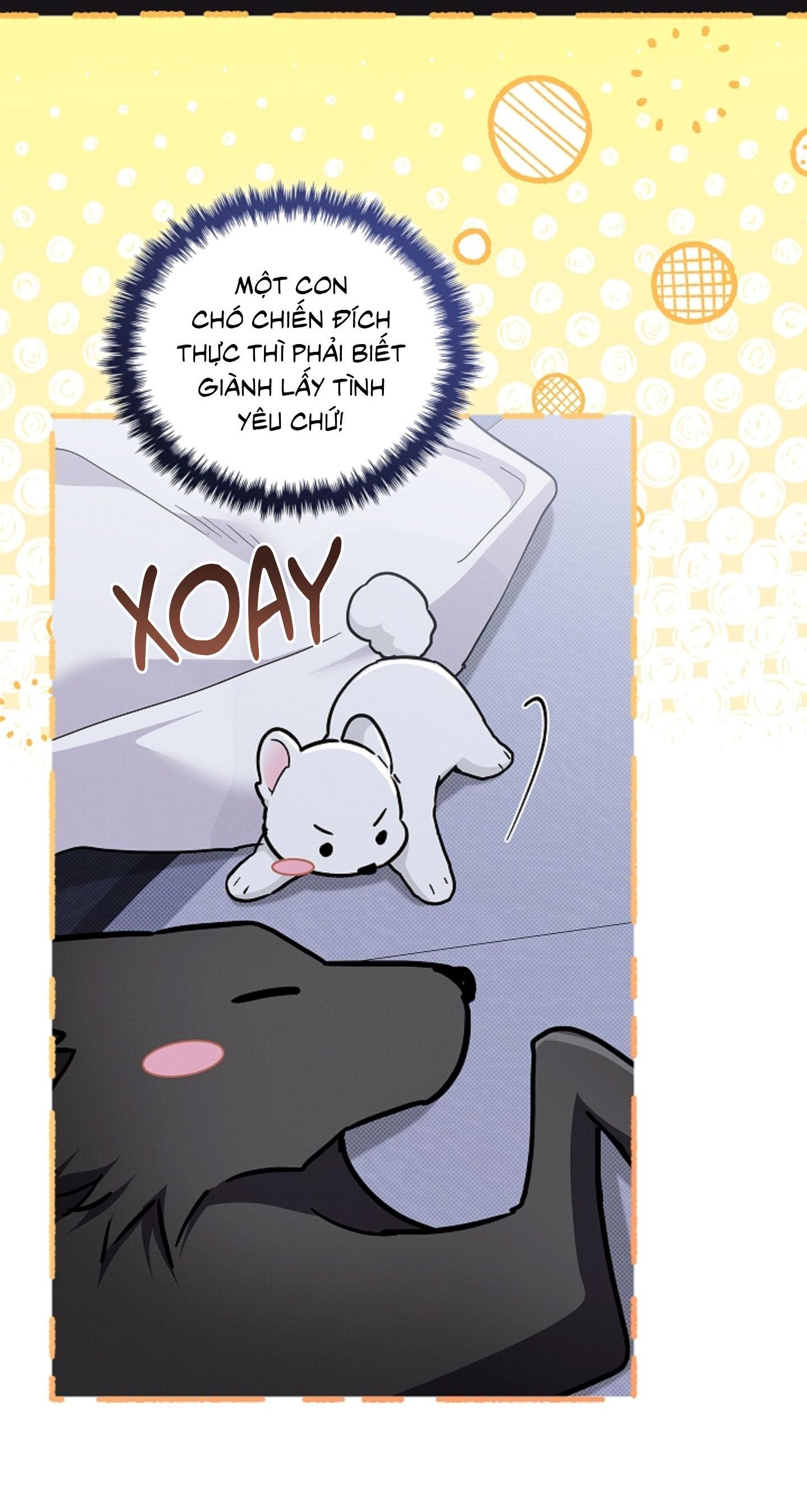 ĐỪNG ĐỘNG VÀO CÚN CON! Chapter 44.07 22
