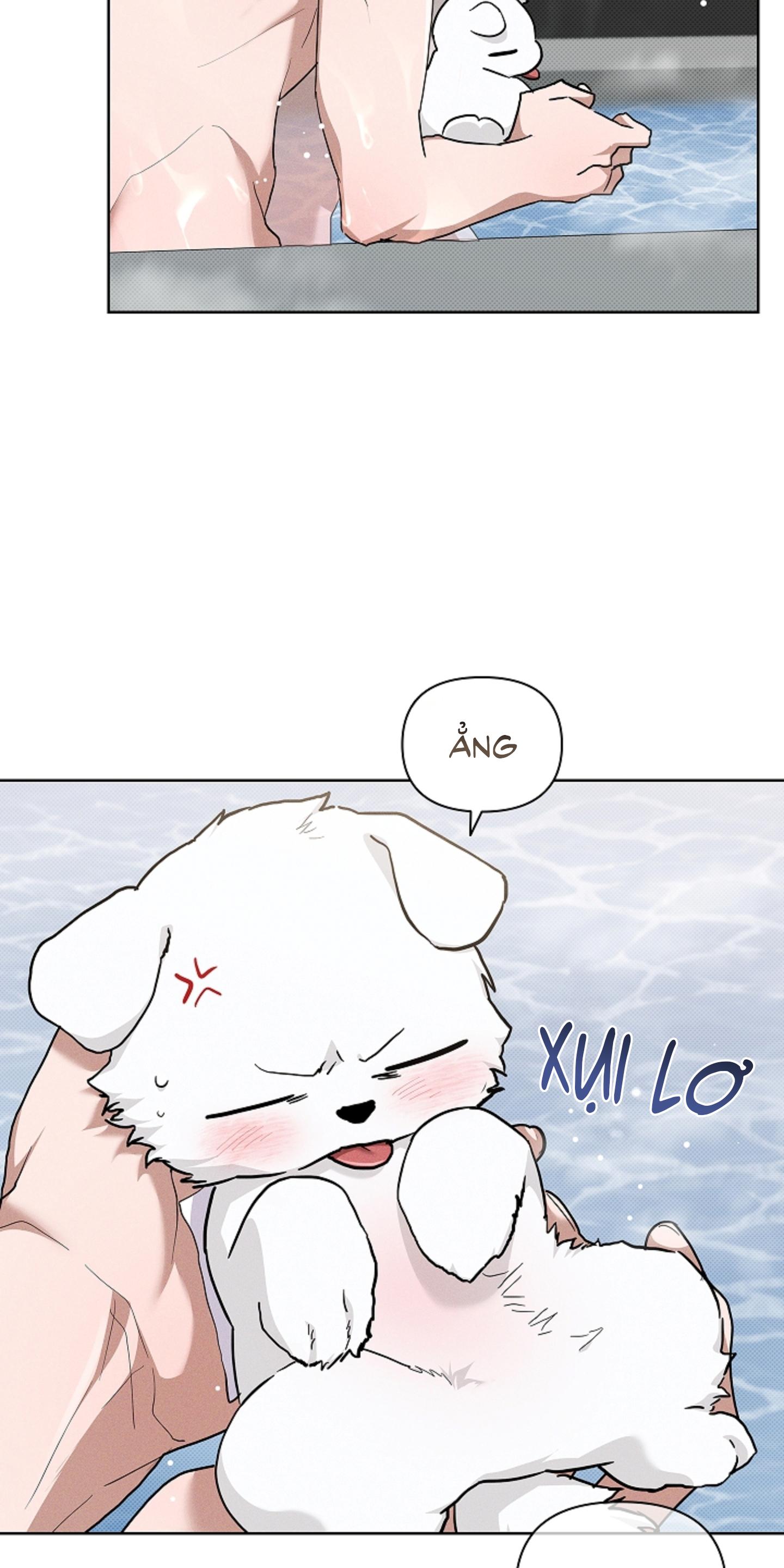 ĐỪNG ĐỘNG VÀO CÚN CON! Chapter 44 - Trang 3