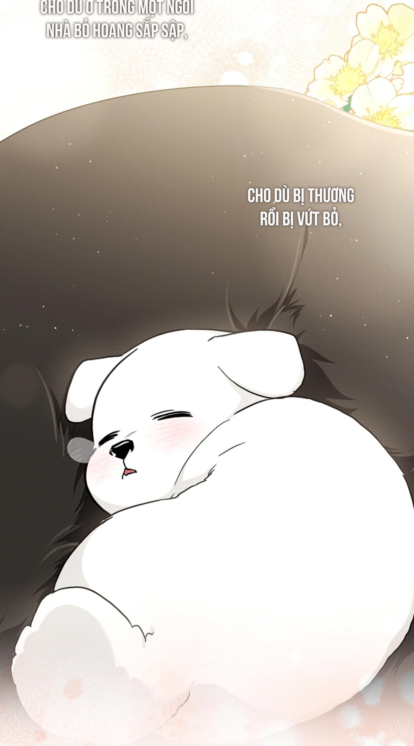 ĐỪNG ĐỘNG VÀO CÚN CON! Chapter 44 - Trang 3