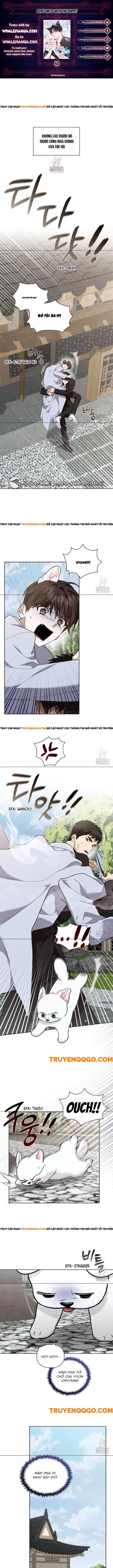 Đừng Đùa Với Cún Con Chapter 40 - Trang 3