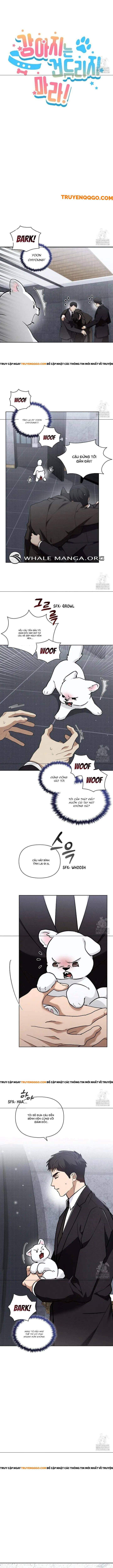 Đừng Đùa Với Cún Con Chapter 40 - Trang 3