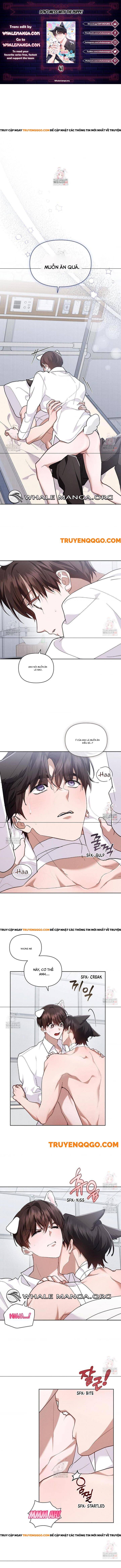 Đừng Đùa Với Cún Con Chapter 41 - Trang 3