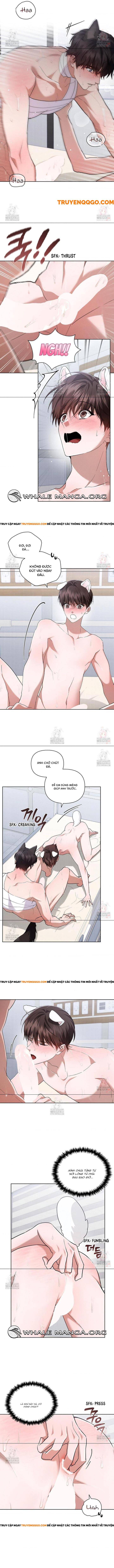 Đừng Đùa Với Cún Con Chapter 41 - Trang 3